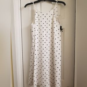 NWT New York & Co polka dot dress